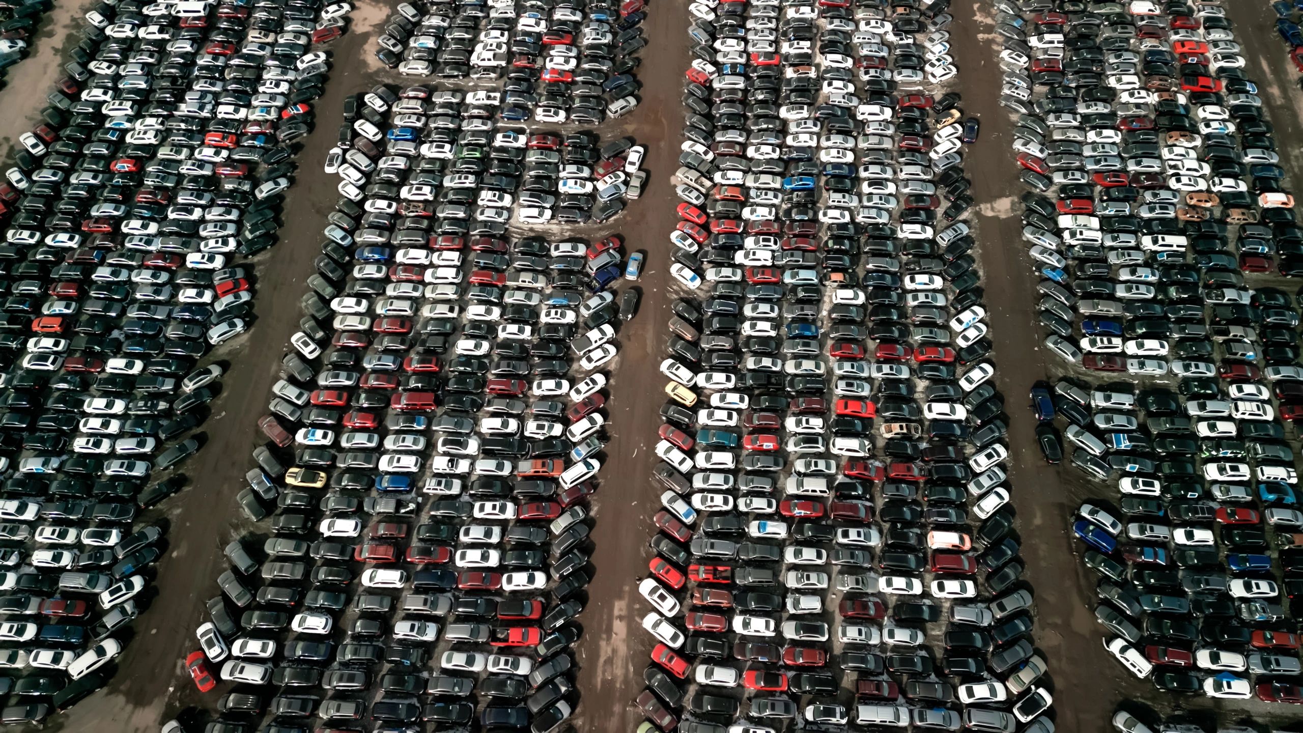 Car fleet parking lot representing reliable service